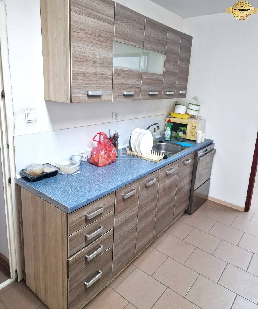 Production hall in Nové Mesto nad Váhom