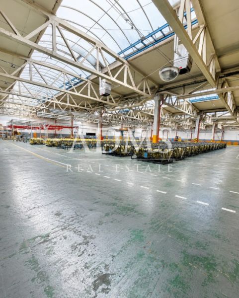 Production and storage hall